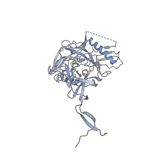 29882_8g9y_G_v1-2
Cryo-EM structure of vFP49.02 Fab in complex with HIV-1 Env BG505 DS-SOSIP.664 (conformation 3)