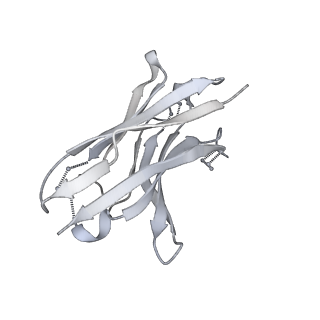 29882_8g9y_H_v1-2
Cryo-EM structure of vFP49.02 Fab in complex with HIV-1 Env BG505 DS-SOSIP.664 (conformation 3)