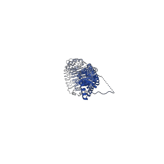 4367_6g9o_A_v1-3
Structure of full-length homomeric mLRRC8A volume-regulated anion channel at 4.25 A resolution
