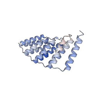 29849_8gaa_E_v1-2
C6HR1_4r: Extendable repeat protein hexamer