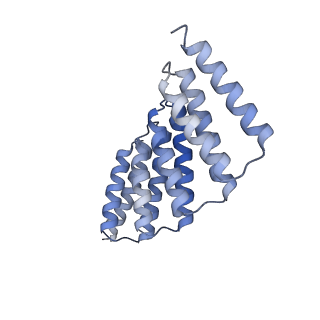 29849_8gaa_G_v1-2
C6HR1_4r: Extendable repeat protein hexamer