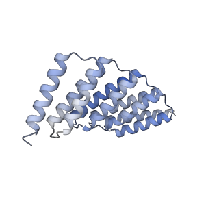 29849_8gaa_K_v1-2
C6HR1_4r: Extendable repeat protein hexamer