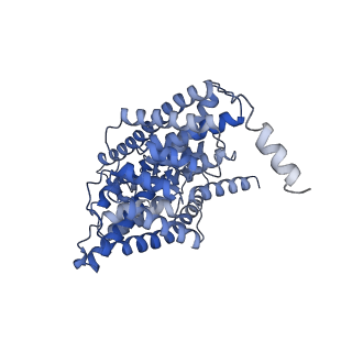 29890_8ga5_B_v1-0
CLC-ec1 L25C/A450C/C85A at pH 4.5 100mM Cl Intermediate