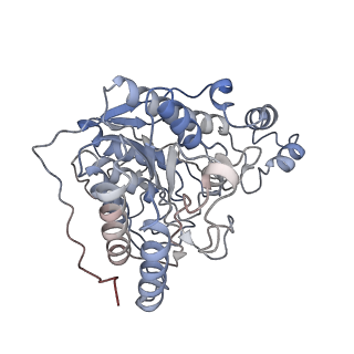 29892_8ga8_B_v1-0
Structure of the yeast (HDAC) Rpd3L complex