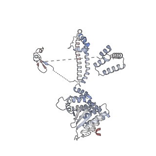 29892_8ga8_D_v1-0
Structure of the yeast (HDAC) Rpd3L complex