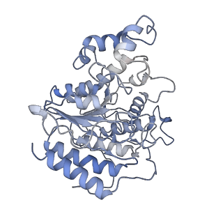 29892_8ga8_E_v1-0
Structure of the yeast (HDAC) Rpd3L complex