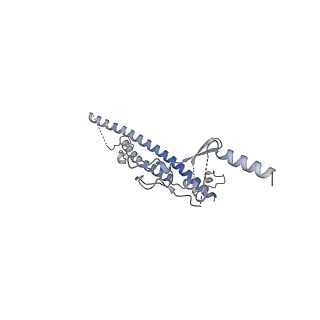 29892_8ga8_M_v1-0
Structure of the yeast (HDAC) Rpd3L complex