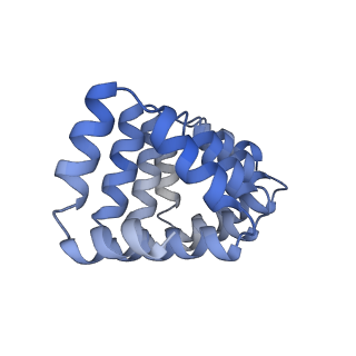 29894_8ga9_E_v1-2
C4HR1_4r: Extendable repeat protein tetramer