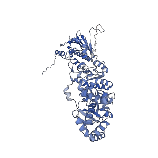 29895_8gae_A_v1-1
Hsp90 provides platform for CRaf dephosphorylation by PP5