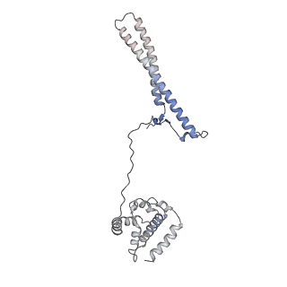 29895_8gae_C_v1-1
Hsp90 provides platform for CRaf dephosphorylation by PP5