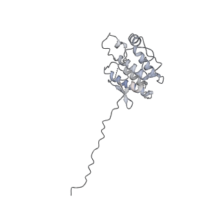 29895_8gae_D_v1-1
Hsp90 provides platform for CRaf dephosphorylation by PP5