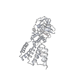 29895_8gae_E_v1-1
Hsp90 provides platform for CRaf dephosphorylation by PP5