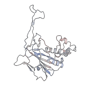 29896_8gaf_A_v1-0
Exploiting Activation and Inactivation Mechanisms in Type I-C CRISPR-Cas3 for Genome Editing Applications