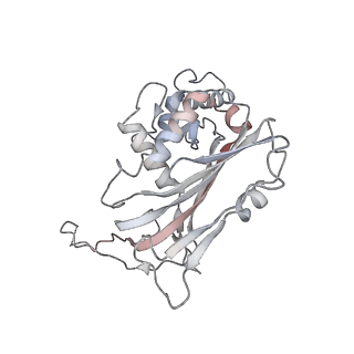 29896_8gaf_F_v1-0
Exploiting Activation and Inactivation Mechanisms in Type I-C CRISPR-Cas3 for Genome Editing Applications