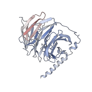 29898_8gag_B_v1-0
Cannabinoid receptor 1-Gi complex with novel ligand