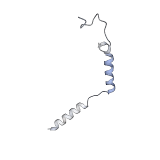 29898_8gag_C_v1-0
Cannabinoid receptor 1-Gi complex with novel ligand