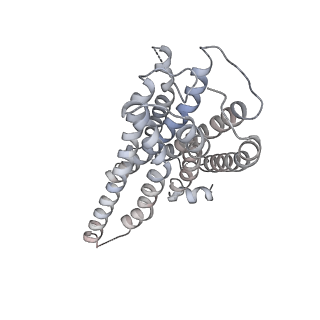 29898_8gag_R_v1-0
Cannabinoid receptor 1-Gi complex with novel ligand