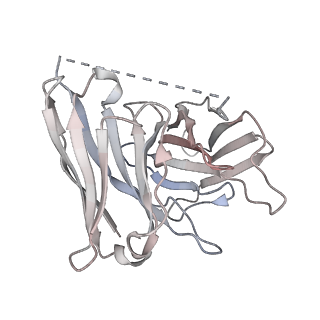 29898_8gag_S_v1-0
Cannabinoid receptor 1-Gi complex with novel ligand