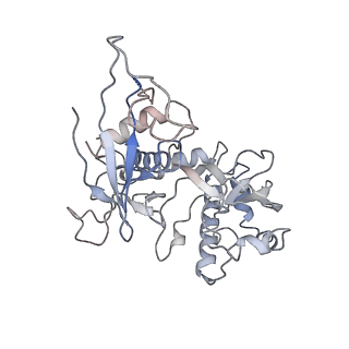 29900_8gam_G_v1-0
Exploiting Activation and Inactivation Mechanisms in Type I-C CRISPR-Cas3 for Genome Editing Applications