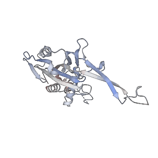 29900_8gam_M_v1-0
Exploiting Activation and Inactivation Mechanisms in Type I-C CRISPR-Cas3 for Genome Editing Applications