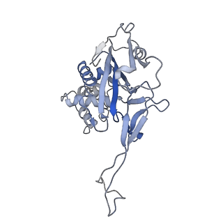 29901_8gan_B_v1-0
Exploiting Activation and Inactivation Mechanisms in Type I-C CRISPR-Cas3 for Genome Editing Applications