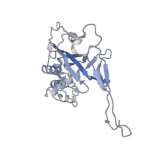 29901_8gan_C_v1-0
Exploiting Activation and Inactivation Mechanisms in Type I-C CRISPR-Cas3 for Genome Editing Applications