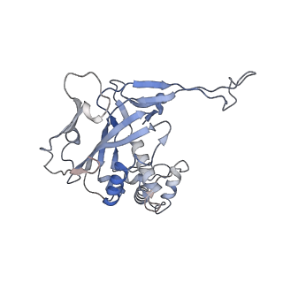 29901_8gan_D_v1-0
Exploiting Activation and Inactivation Mechanisms in Type I-C CRISPR-Cas3 for Genome Editing Applications