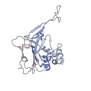 29901_8gan_E_v1-0
Exploiting Activation and Inactivation Mechanisms in Type I-C CRISPR-Cas3 for Genome Editing Applications