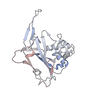 29901_8gan_F_v1-0
Exploiting Activation and Inactivation Mechanisms in Type I-C CRISPR-Cas3 for Genome Editing Applications