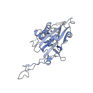 29901_8gan_M_v1-0
Exploiting Activation and Inactivation Mechanisms in Type I-C CRISPR-Cas3 for Genome Editing Applications