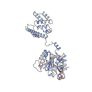 29902_8gao_A_v1-1
bacteriophage T4 stalled primosome with mutant gp41-E227Q