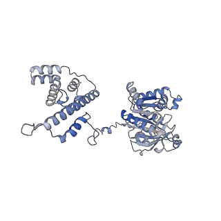29902_8gao_C_v1-1
bacteriophage T4 stalled primosome with mutant gp41-E227Q