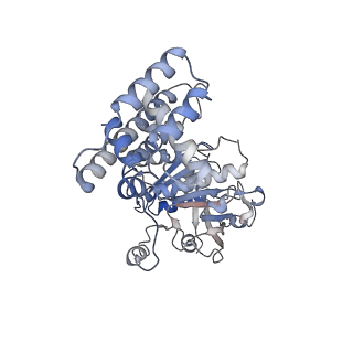 29902_8gao_D_v1-1
bacteriophage T4 stalled primosome with mutant gp41-E227Q