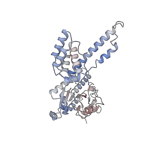 29902_8gao_E_v1-1
bacteriophage T4 stalled primosome with mutant gp41-E227Q