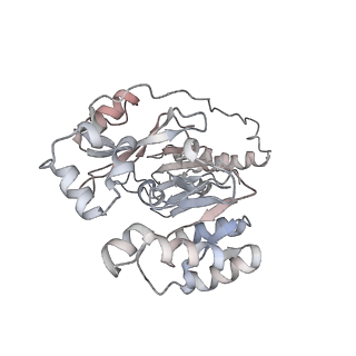 29902_8gao_G_v1-1
bacteriophage T4 stalled primosome with mutant gp41-E227Q