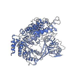 29903_8gap_A_v1-1
Structure of LARP7 protein p65-telomerase RNA complex in telomerase