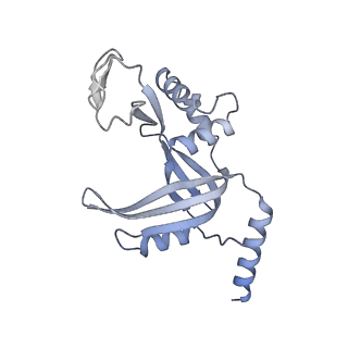 29903_8gap_D_v1-1
Structure of LARP7 protein p65-telomerase RNA complex in telomerase