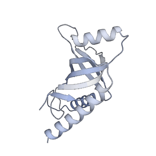 29903_8gap_E_v1-1
Structure of LARP7 protein p65-telomerase RNA complex in telomerase