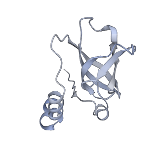 29903_8gap_F_v1-1
Structure of LARP7 protein p65-telomerase RNA complex in telomerase