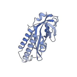 29903_8gap_G_v1-1
Structure of LARP7 protein p65-telomerase RNA complex in telomerase