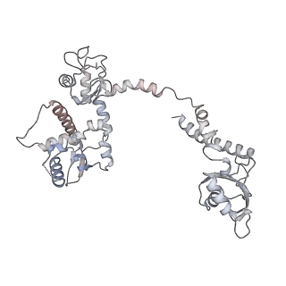 29903_8gap_H_v1-1
Structure of LARP7 protein p65-telomerase RNA complex in telomerase