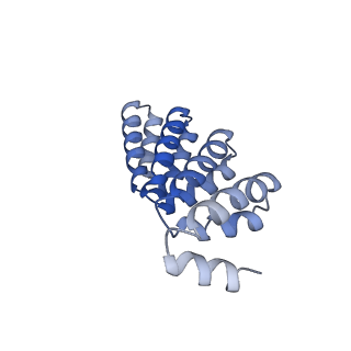 29904_8gaq_C_v1-2
C5HR2_4r: Extendable repeat protein pentamer