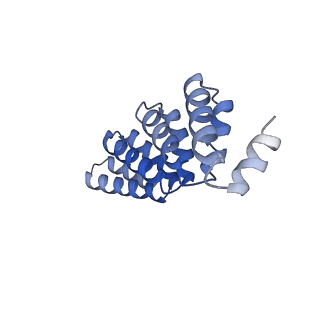 29904_8gaq_E_v1-2
C5HR2_4r: Extendable repeat protein pentamer