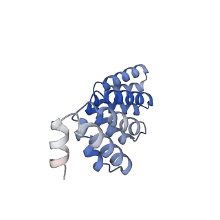 29904_8gaq_G_v1-2
C5HR2_4r: Extendable repeat protein pentamer