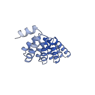 29904_8gaq_I_v1-2
C5HR2_4r: Extendable repeat protein pentamer