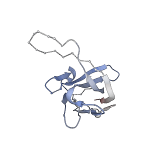 29908_8gau_M_v1-2
Structure of human NDS.1 Fab and 1G01 Fab in complex with influenza virus neuraminidase from A/Indiana/10/2011 (H3N2v)