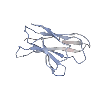 29908_8gau_N_v1-2
Structure of human NDS.1 Fab and 1G01 Fab in complex with influenza virus neuraminidase from A/Indiana/10/2011 (H3N2v)