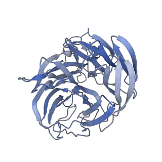 29909_8gav_A_v1-2
Structure of human NDS.3 Fab in complex with influenza virus neuraminidase from A/Darwin/09/2021 (H3N2)