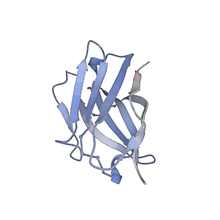 29909_8gav_H_v1-2
Structure of human NDS.3 Fab in complex with influenza virus neuraminidase from A/Darwin/09/2021 (H3N2)