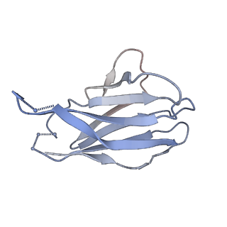 29909_8gav_L_v1-2
Structure of human NDS.3 Fab in complex with influenza virus neuraminidase from A/Darwin/09/2021 (H3N2)